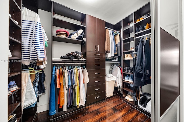 17490 SW 70th Pl, Southwest Ranches, FL 33331 - spacious closet featuring dark wood finished floors