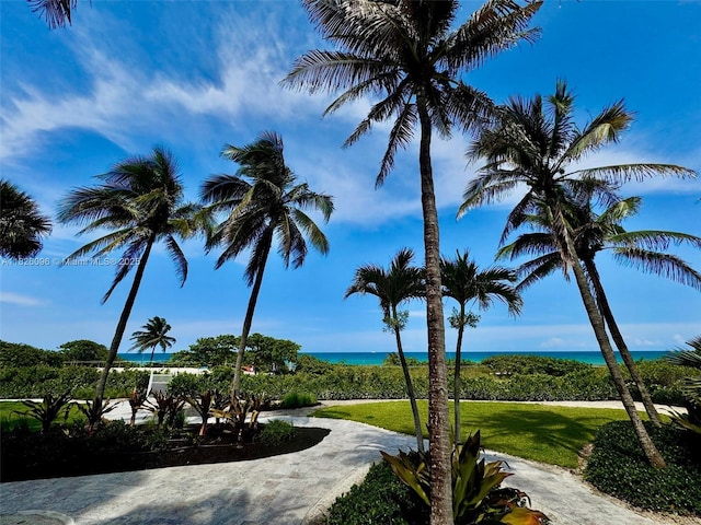 8925 Collins Ave Unit 9G, Surfside, FL 33154 - view of home's community featuring a water view and a yard