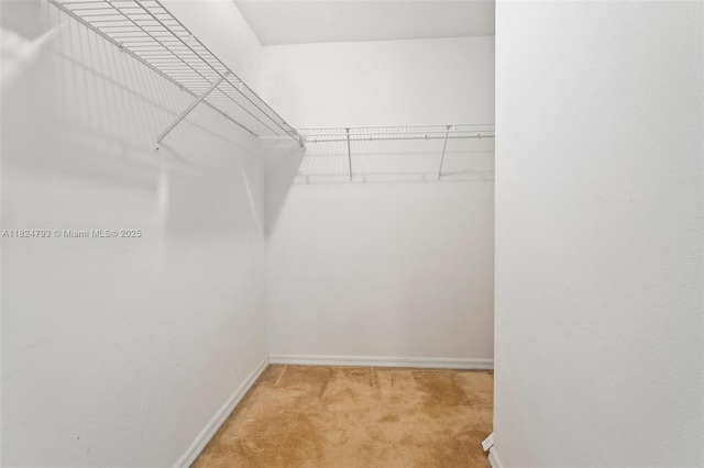 1025 SW Placetas Ave, Port St Lucie, FL 34953 - spacious closet with light carpet