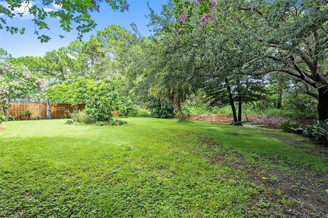 1025 SW Placetas Ave, Port St Lucie, FL 34953 - view of yard