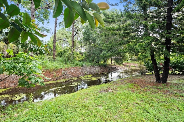 1025 SW Placetas Ave, Port St Lucie, FL 34953 - view of yard