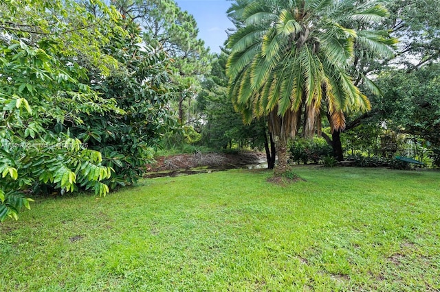 1025 SW Placetas Ave, Port St Lucie, FL 34953 - view of green lawn