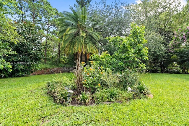 1025 SW Placetas Ave, Port St Lucie, FL 34953 - view of green lawn