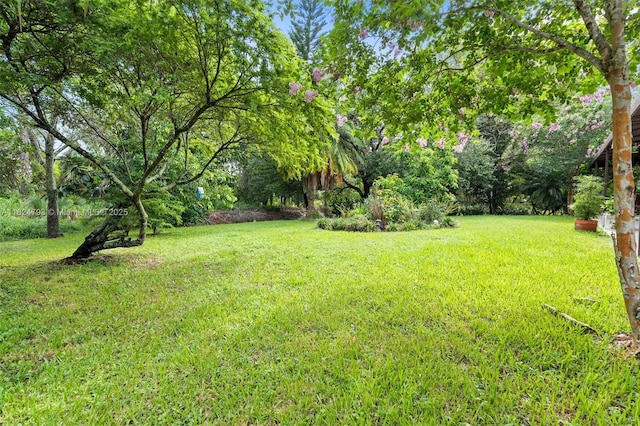 1025 SW Placetas Ave, Port St Lucie, FL 34953 - view of green lawn
