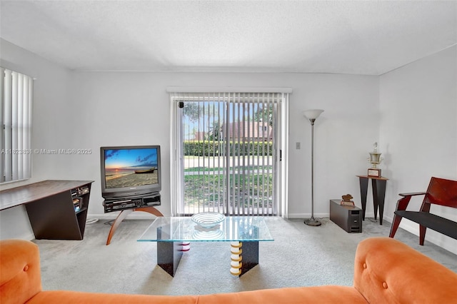 1077 SW 120th Ave, Davie, FL 33325 - living room featuring carpet flooring and baseboards