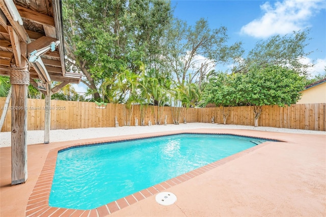 14711 SW 170th Ter, Miami, FL 33187 - view of swimming pool featuring a patio area and a fenced backyard