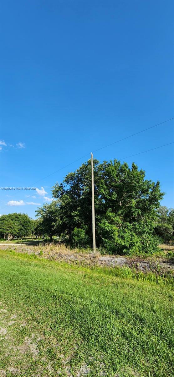 20272 NW 262nd St, Okeechobee, FL 34972 - photo 3