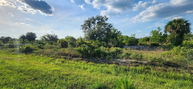 20272 NW 262nd St, Okeechobee, FL 34972 - photo 4