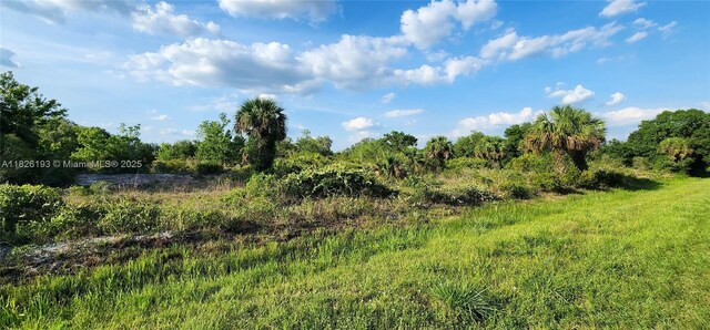 20272 NW 262nd St, Okeechobee, FL 34972 - photo 5