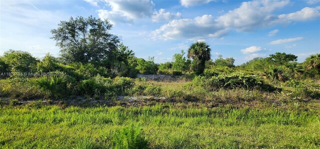 20272 NW 262nd St, Okeechobee, FL 34972 - photo 6