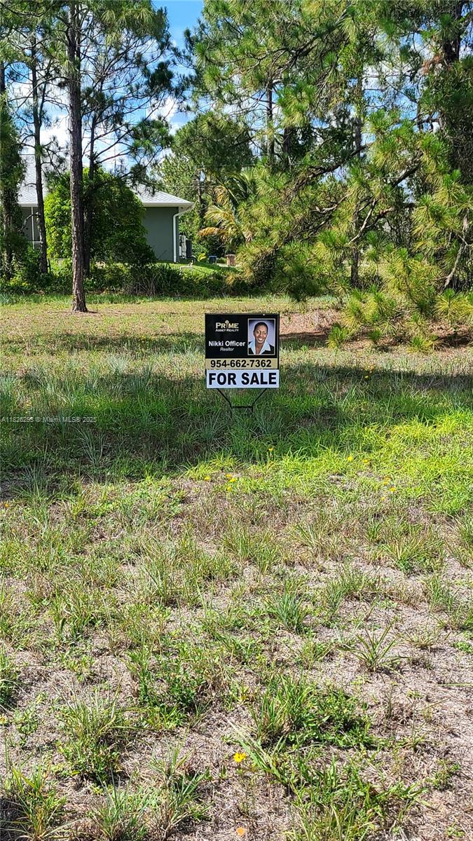653 Jaguar Blvd, Lehigh Acres, FL 33974 - photo 1