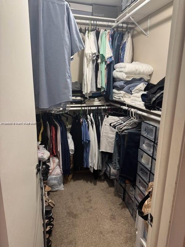 7301 SW 8th St, North Lauderdale, FL 33068 - spacious closet featuring carpet
