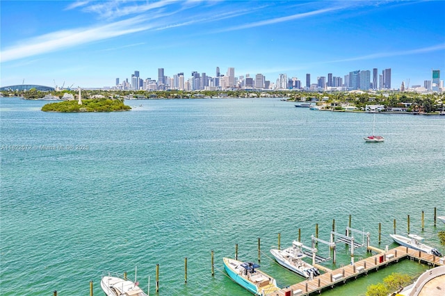 11 Island Ave Unit 1103, Miami Beach, FL 33139 - water view with city skyline and a boat dock