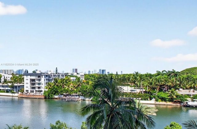 2555 Collins Ave Unit 606, Miami Beach, FL 33140 - photo 10