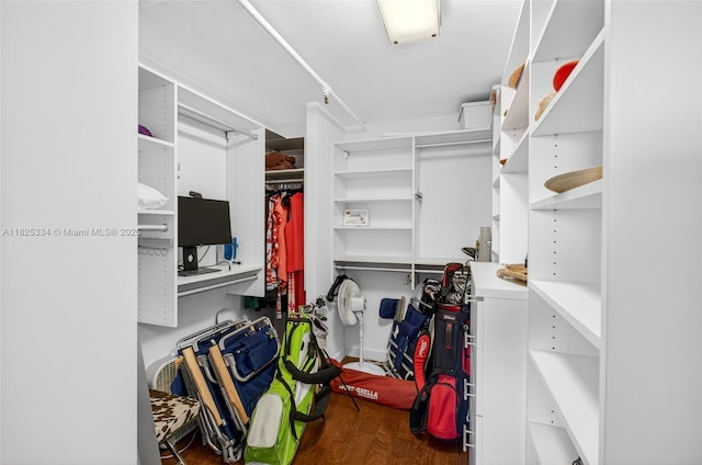 2555 Collins Ave Unit 606, Miami Beach, FL 33140 - walk in closet featuring wood finished floors