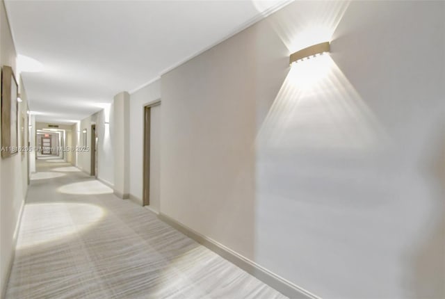 2701 N Ocean Blvd Unit 18A, Fort Lauderdale, FL 33308 - hall featuring carpet floors and baseboards