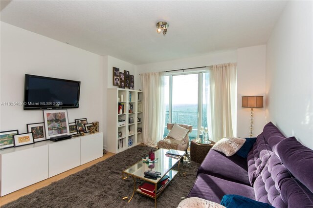 60 SW 13th St Unit 3805, Miami, FL 33130 - living area featuring wood finished floors and a water view