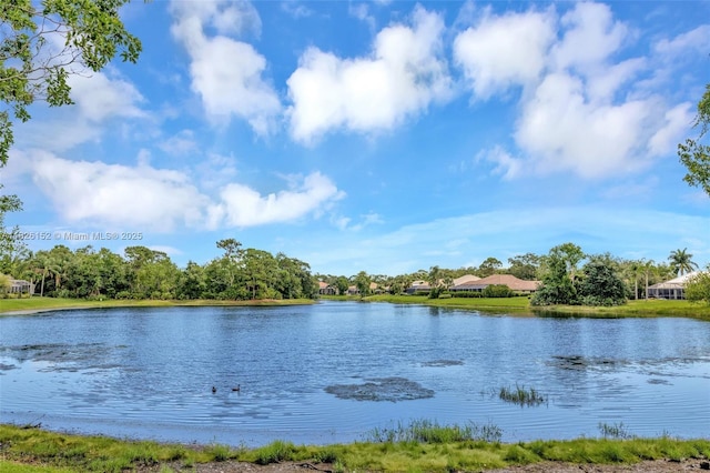 1137 SW Lighthouse Dr, Palm City, FL 34990 - water view