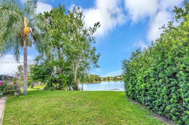 1137 SW Lighthouse Dr, Palm City, FL 34990 - view of green lawn with a water view