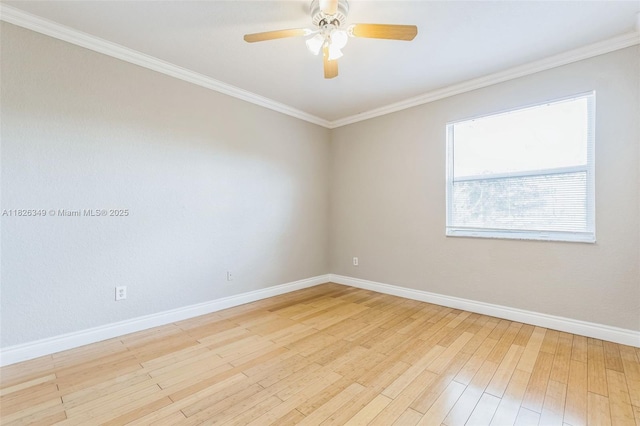 12986 SW 21st St, Miramar, FL 33027 - empty room featuring a ceiling fan, light wood-type flooring, and ornamental molding