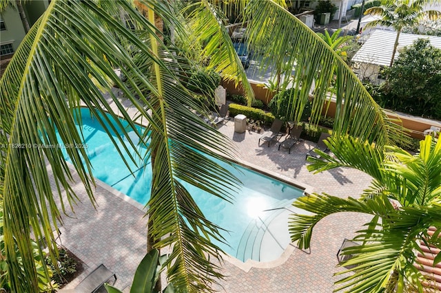 1919 Van Buren St Unit 205A, Hollywood, FL 33020 - view of pool featuring a patio