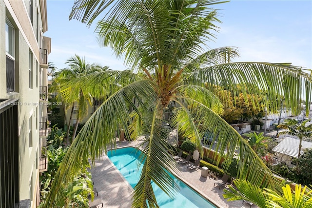 1919 Van Buren St Unit 205A, Hollywood, FL 33020 - swimming pool featuring a patio area
