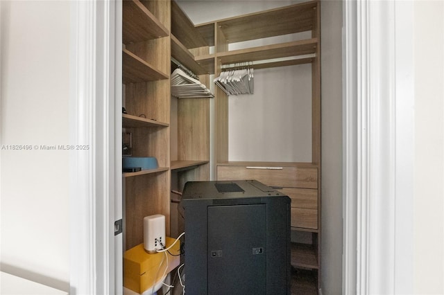 17866 Lake Azure Way, Boca Raton, FL 33496 - view of spacious closet
