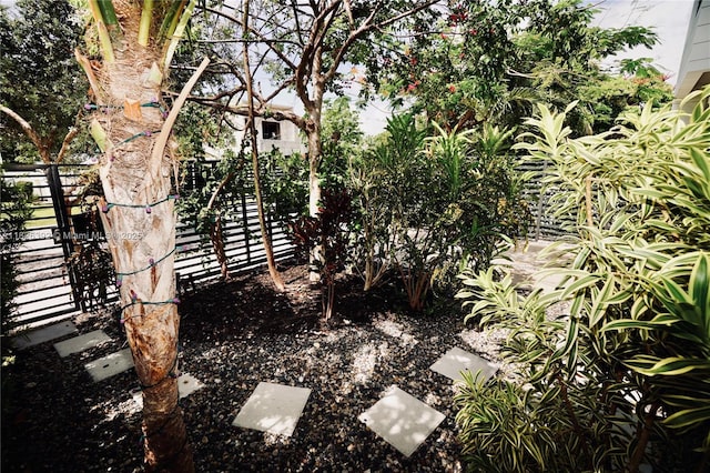 3313 Percival Ave Unit 3313, Miami, FL 33133 - view of yard