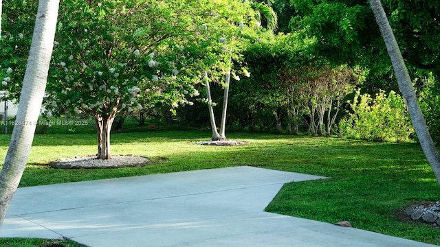 8443 Garden Gate Pl, Boca Raton, FL 33433 - view of green lawn with a patio