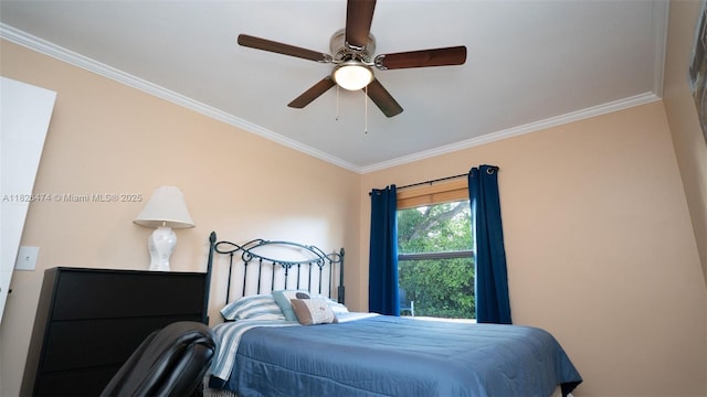 8443 Garden Gate Pl, Boca Raton, FL 33433 - bedroom featuring crown molding and ceiling fan