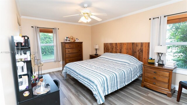 8443 Garden Gate Pl, Boca Raton, FL 33433 - bedroom featuring wood finished floors, multiple windows, crown molding, and ceiling fan