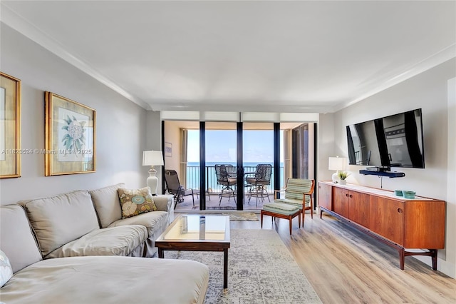 200 Ocean Trail Way Unit 701, Jupiter, FL 33477 - living room with light wood finished floors, crown molding, and a wall of windows