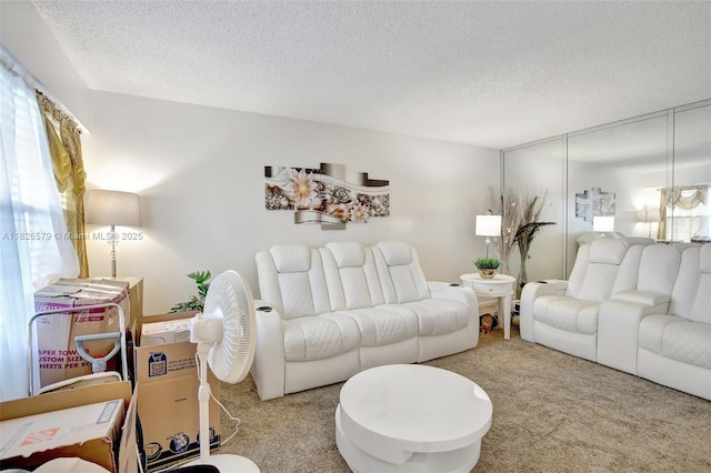 13355 SW 9th Ct Unit 413H, Pembroke Pines, FL 33027 - carpeted living room featuring a textured ceiling