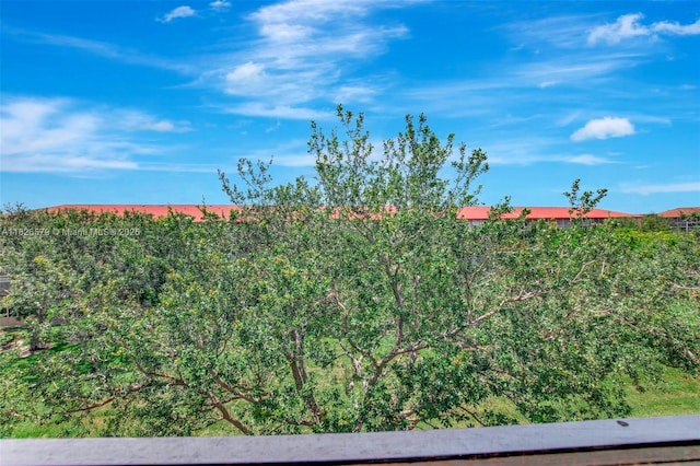 13355 SW 9th Ct Unit 413H, Pembroke Pines, FL 33027 - view of yard