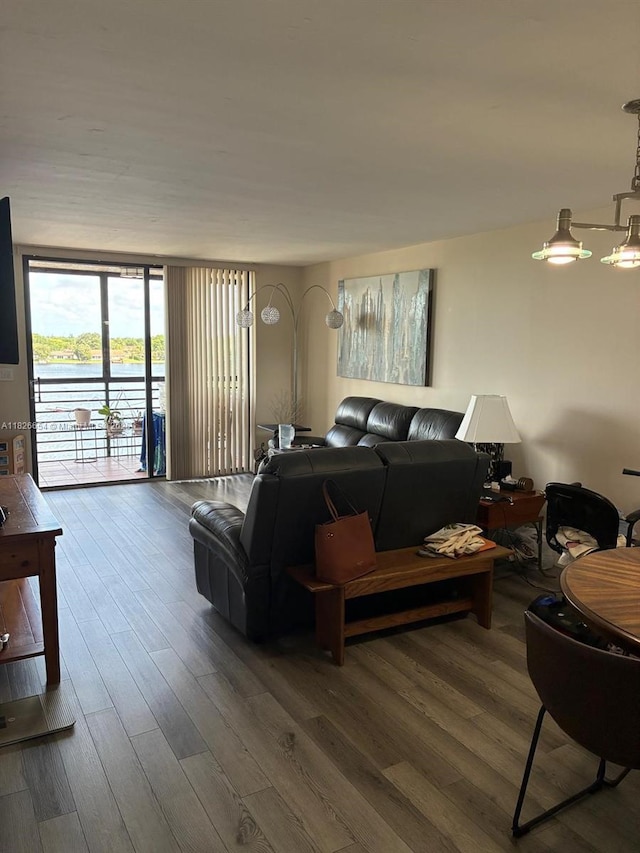 1100 Colony Point Cir Unit 504, Pembroke Pines, FL 33026 - living room with wood finished floors