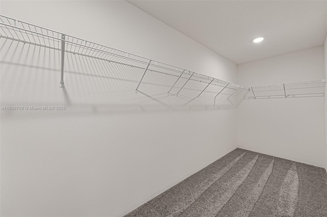 1230 Waterford, Palm Bay, FL 32909 - walk in closet featuring dark colored carpet