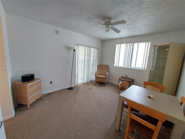 2640 S University Dr Unit 125, Davie, FL 33328 - ensuite bathroom featuring vanity, ceiling fan, a textured ceiling, and a closet