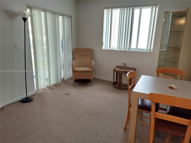 2640 S University Dr Unit 125, Davie, FL 33328 - living area featuring carpet floors and baseboards