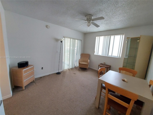 2640 S University Dr Unit 125, Davie, FL 33328 - interior space with ceiling fan, a textured ceiling, and light colored carpet