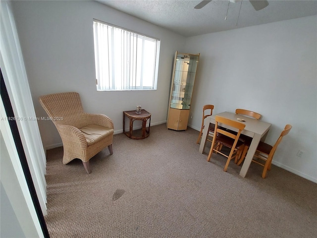 2640 S University Dr Unit 125, Davie, FL 33328 - sitting room featuring a ceiling fan, carpet, and a textured ceiling