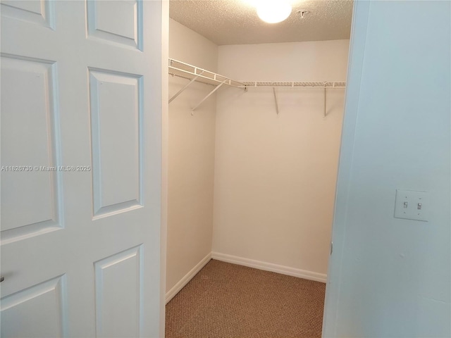 2640 S University Dr Unit 125, Davie, FL 33328 - walk in closet featuring carpet flooring