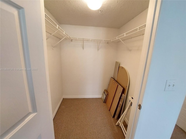 2640 S University Dr Unit 125, Davie, FL 33328 - walk in closet with light carpet