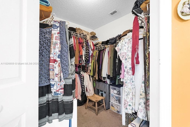 14783 SW 143rd Ter, Miami, FL 33196 - walk in closet with carpet