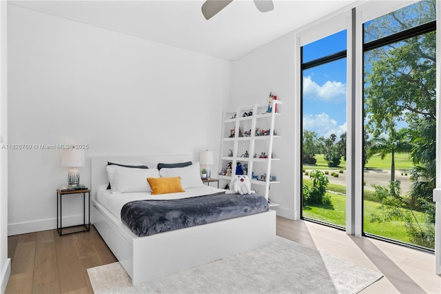 1009 NE 104th St, Miami Shores, FL 33138 - bedroom with wood finished floors, a ceiling fan, and floor to ceiling windows