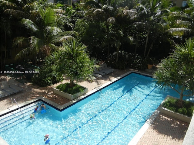 6001 SW 70th St Unit 324, South Miami, FL 33143 - community pool with a patio