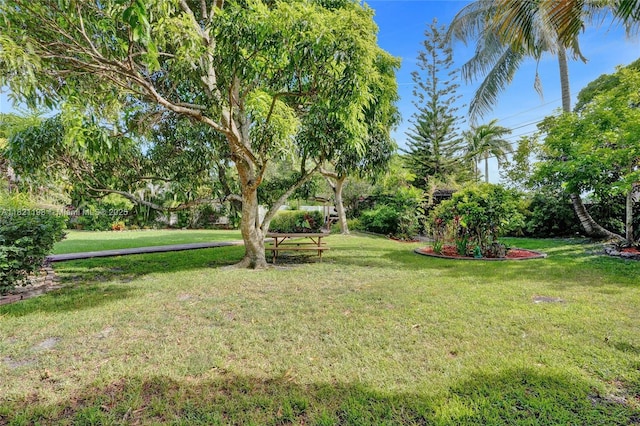 10030 SW 8th St, Pembroke Pines, FL 33025 - view of grassy yard