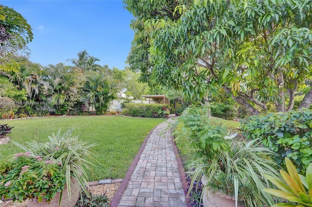 10030 SW 8th St, Pembroke Pines, FL 33025 - view of grassy yard
