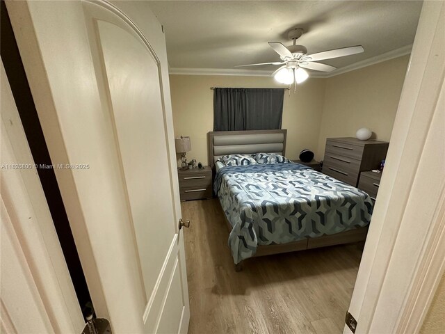 19360 SW 116th Ave, Cutler Bay, FL 33157 - photo 3