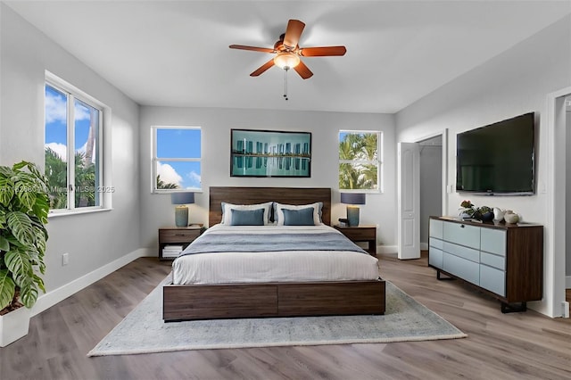 6425 SW 164th Ave, Miami, FL 33193 - bedroom with multiple windows, wood finished floors, and a ceiling fan