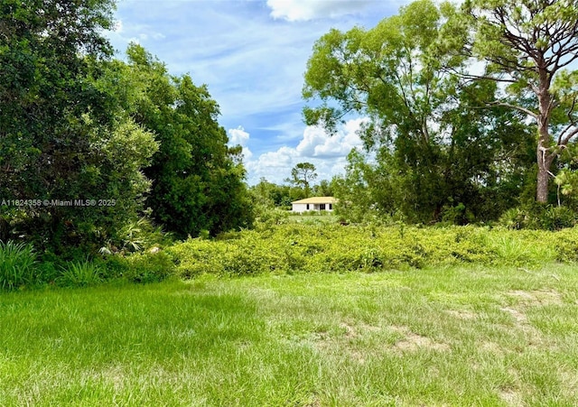 5029 N Dogwood Cir, La Belle, FL 33935 - view of yard